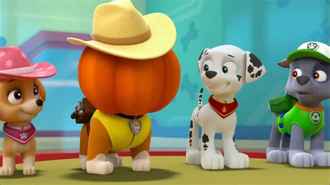 Paw Patrol Marshall S Weekly Wipeouts Season Pups Save The