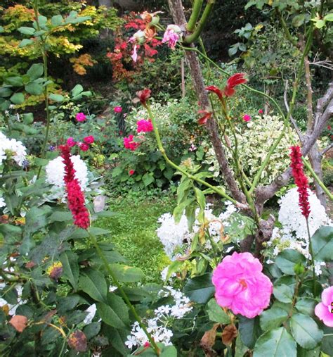 Le Jardin De La Belle Allemande Baronne Samedi