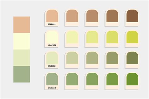 Brown Green Color Palette Stock Illustration - Download Image Now ...