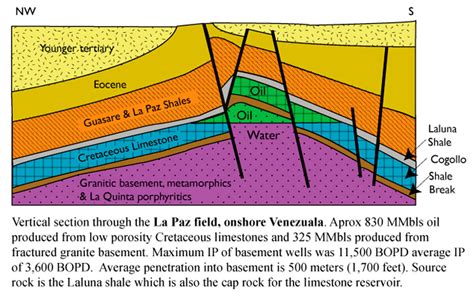 Exploration And Production Of Oil And Gas From Naturally Fractured And