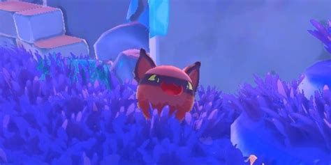 Slime Rancher 2 Basic Slimes Guide