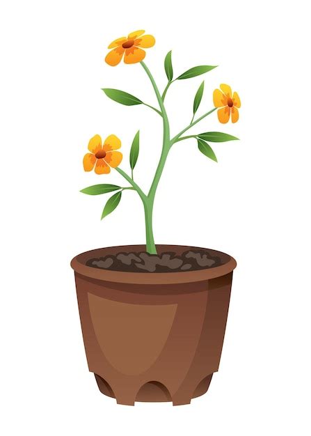 Premium Vector Flower Growth Stage In Brown Pot On White Background