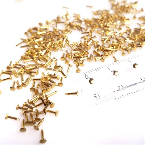 Nails And Tacks By Blackbirdsolid Brass Escutcheon Pins 20 09x 5