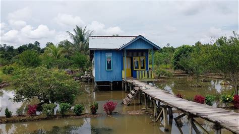 Kampungjogjakarta Istimewa Di Tanah Borneo Transmigrasi Sepunggur