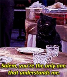 Salem Cat Gif GIFs | Tenor