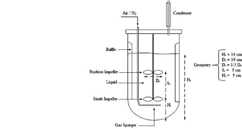 Schematic Diagram Of The Bioreactor Download Scientific Diagram