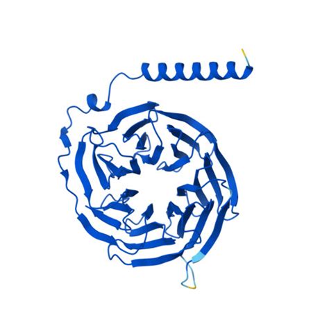 Rcsb Pdb Af Afp F Computed Structure Model Of Guanine