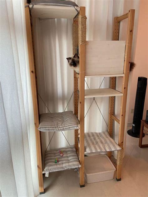 A Cat Sitting On Top Of A Wooden Shelf Next To A Window With White Curtains