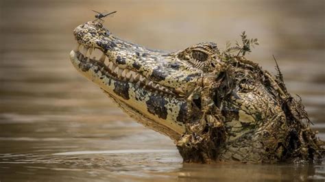 Naturaleza Gastronomía Y Descanso Las Claves Del Ecoturismo En Los