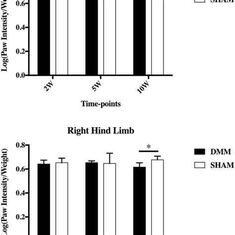 Catwalk Gait Analysis After DMM Surgery Catwalk Analyses Demonstrated