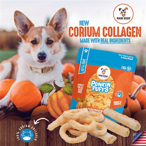 The Benefits of Pumpkin for Dogs – Raw Dog Chews Wholesale