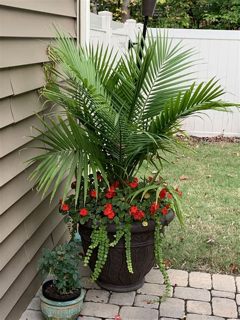 tropical gardens design flower potted plant flower pot garden flower