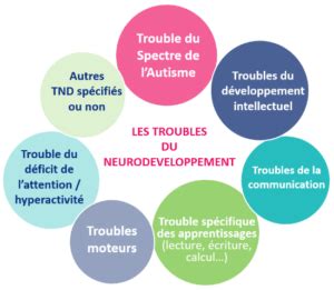 Chru De Tours Autisme Troubles Du Neurod Veloppement