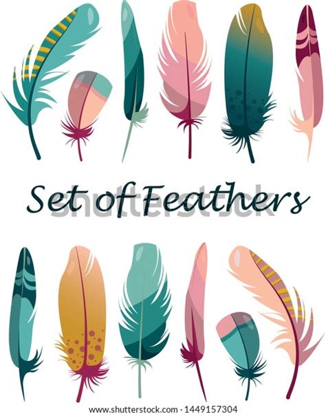 Set Isolated Feathers Stock Vector Royalty Free 1449157304 Shutterstock