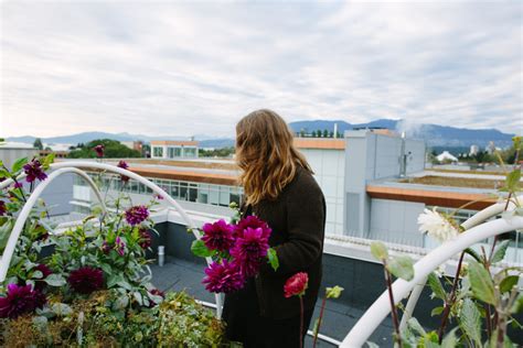 Rooftop Garden in September - Weekend Flowers