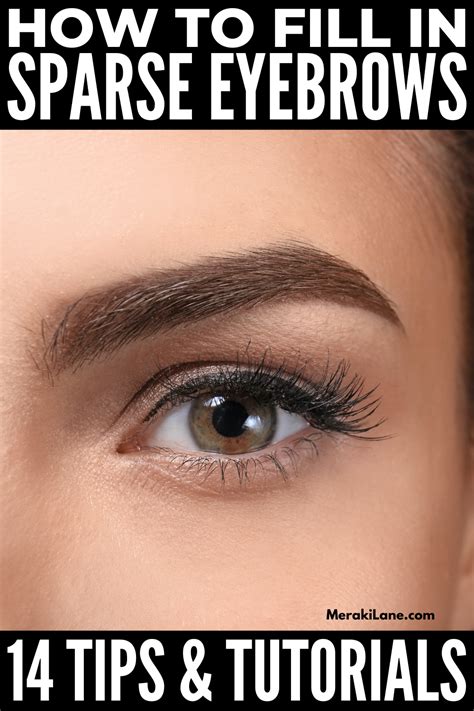 How To Fill In Sparse Eyebrows 14 Tips And Tutorials Ombre Eyebrows Sparse Eyebrows Thin