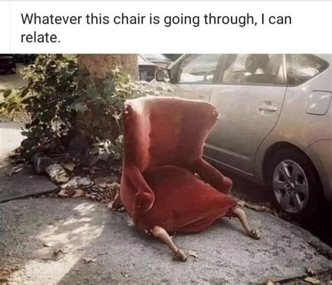 Pin By Anissa On Funny Chair Funny Pictures Sitting Chair