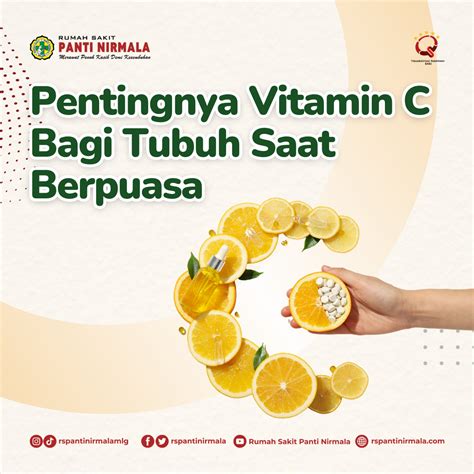 Seberapa Penting Sih Asupan Vitamin C Bagi Tubuh Terutama Dalam Bulan