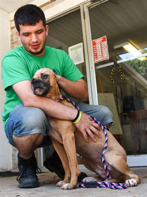 County Funding Change Could Close Pickens Humane Society Shelter