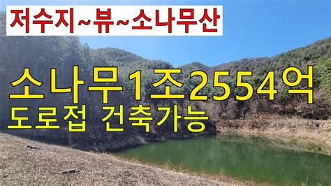 계획관리 수~만평 송이산 소나무조경수1조2554억 포장도로접 숲가치1조2809억 탄소권2167만 숲야영장캠핑교회탠트고기집6차산업