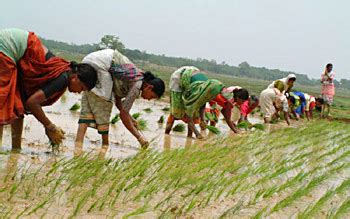 Farming - Ancient Civilisations