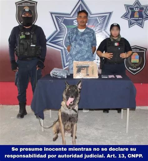 Oficial Canino Detecta A Sujeto Armado En Terminal De Camiones