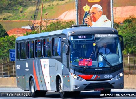 Empresa De Nibus P Ssaro Marron Em Aparecida Por Ricardo Silva