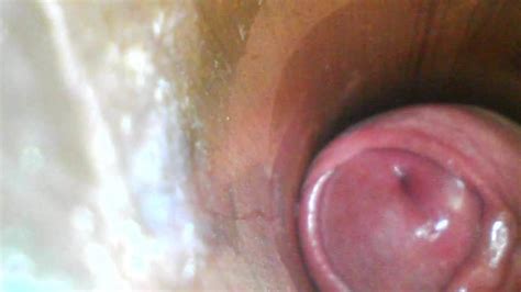 Free Cum Cleaner Gay Porn Videos Xhamster