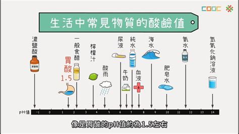 108新課綱｜高一化學｜【觀念】ph值 Youtube