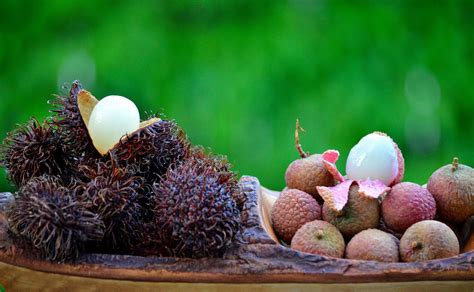 Download Close Up Image Of Fresh Rambutan And Lychee Fruits Wallpaper