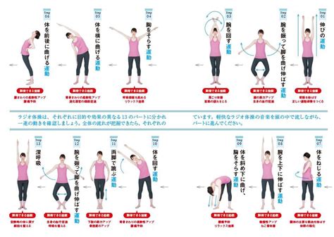 ストレッチ 腰痛 体操 Hoken Nays