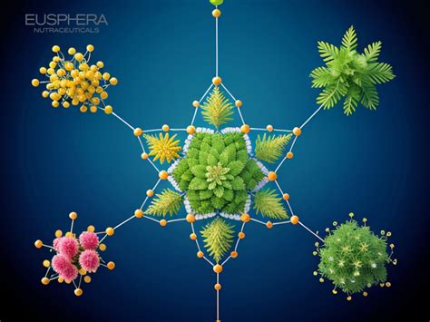 Terpeni Cosa Sono E Propriet Significato E Terpenoidi