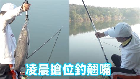 凌晨三點釣位爆滿，只為釣翹嘴，沒想到草魚鳊魚瘋狂上口【天元邓刚】 Youtube