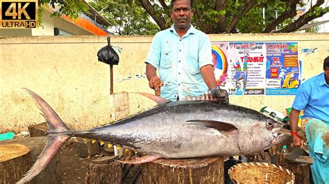 Kasimedu Giant Yellow Fin Tuna Fish Cutting In Kasimedu K Video