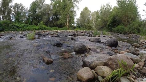 The Sound Of The Water In The Ceronda Torrent Il Suono Dell Acqua Nel