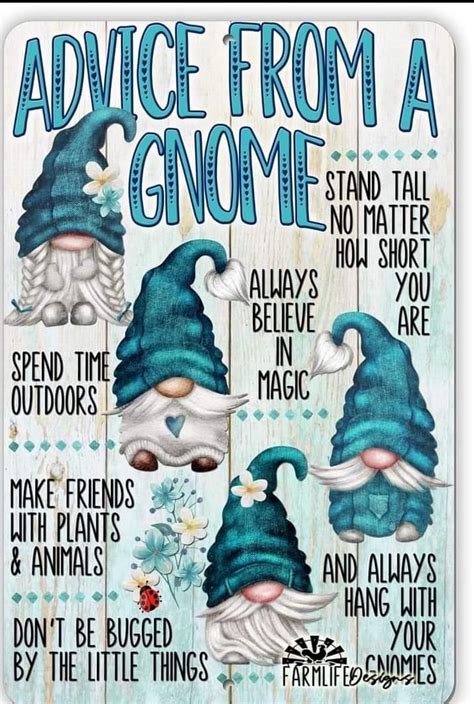 Pin By Cyndi Booth On Misc Gnomes Funny Gnomes Gnomes Crafts