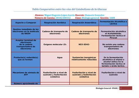 Tabla Comparativa Entre Las Vias Del Catabolismo De La Glucosa