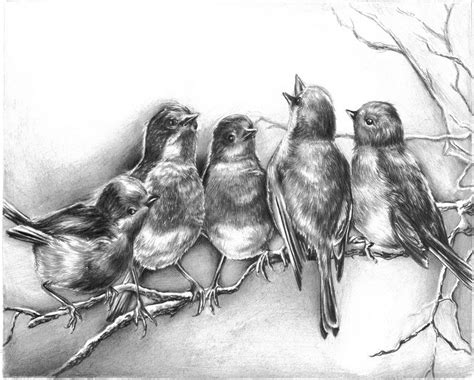 Items similar to Singing Birds Art Print from Original Pencil Drawing on Etsy