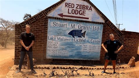 Red Zebra Lodge The Lake Malawi Experience 4 Youtube