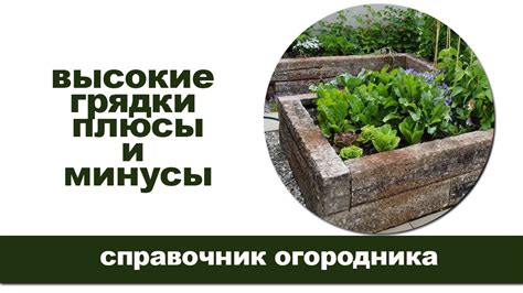 Высокие грядки плюсы и минусы. Нужны ли они на участке? - YouTube