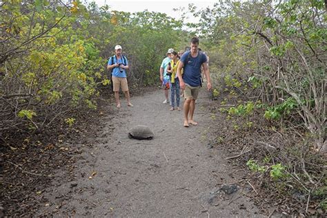 Cruises to the Galapagos Islands 2023 - GalapagosInformation.com Blog