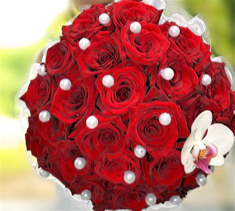 Beautiful Red Roses With Pearls