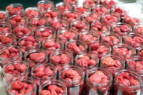 Umeboshi Traditional Japanese Pickled Plums Made Right Here In The Bay