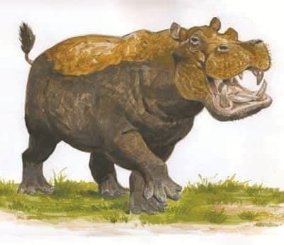 Prehistoric Hippopotamus