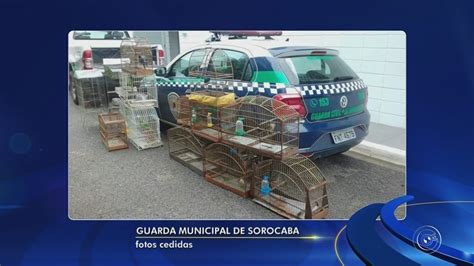 V Deos Tem Not Cias Edi O De Sorocaba E Jundia De Quarta Feira