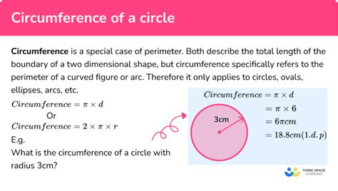 Circumference Of A Circle GCSE Maths Steps Examples