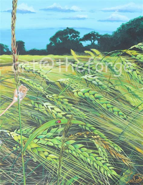 The Wheat Field - North Art