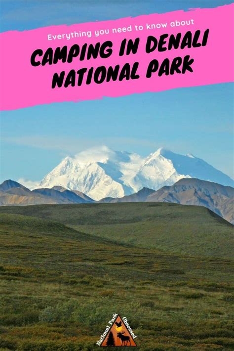 Denali National Park Camping: The Definitive Guide To Camping In Denali ...