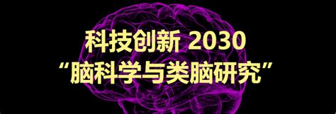 脑所深港脑院积极承担中国脑计划重大项目，2022年成绩斐然！