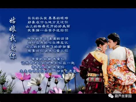 葫芦丝流行歌曲《姑娘我爱你》音乐